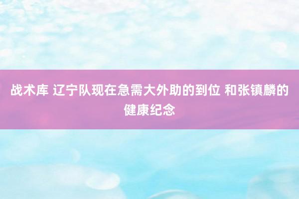 战术库 辽宁队现在急需大外助的到位 和张镇麟的健康纪念