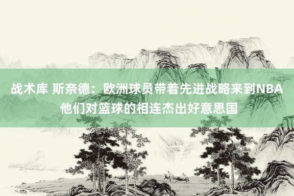 战术库 斯奈德：欧洲球员带着先进战略来到NBA 他们对篮球的相连杰出好意思国