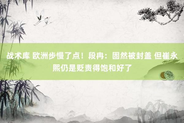 战术库 欧洲步慢了点！段冉：固然被封盖 但崔永熙仍是贬责得饱和好了