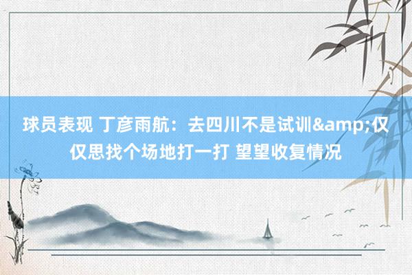 球员表现 丁彦雨航：去四川不是试训&仅仅思找个场地打一打 望望收复情况