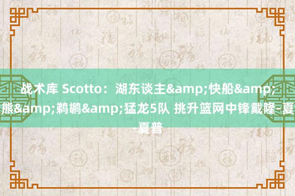 战术库 Scotto：湖东谈主&快船&灰熊&鹈鹕&猛龙5队 挑升篮网中锋戴隆-夏普