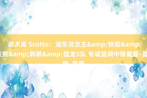 战术库 Scotto：湖东说念主&快船&灰熊&鹈鹕&猛龙5队 专诚篮网中锋戴隆-夏普