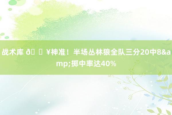 战术库 🔥神准！半场丛林狼全队三分20中8&掷中率达40%