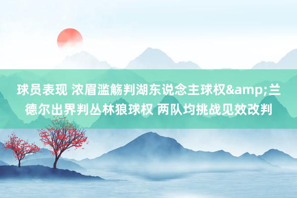 球员表现 浓眉滥觞判湖东说念主球权&兰德尔出界判丛林狼球权 两队均挑战见效改判